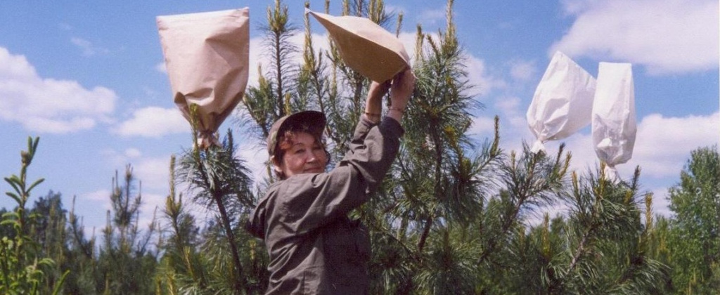 ген1.jpg